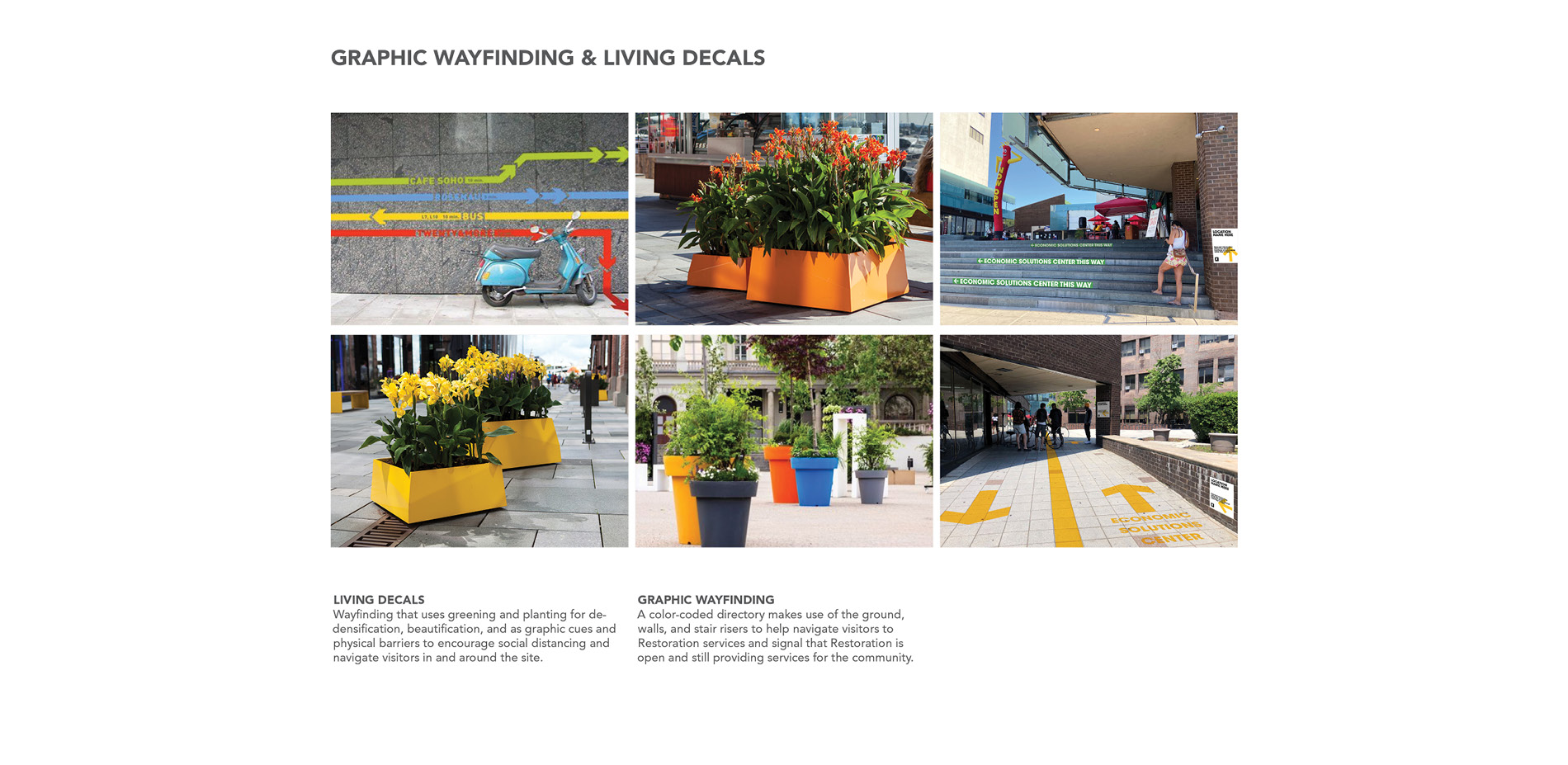 Graphic Wayfinding & Living Decals